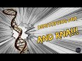 Demystifying DNA & RNA – What Your Biology Teacher Never Told You