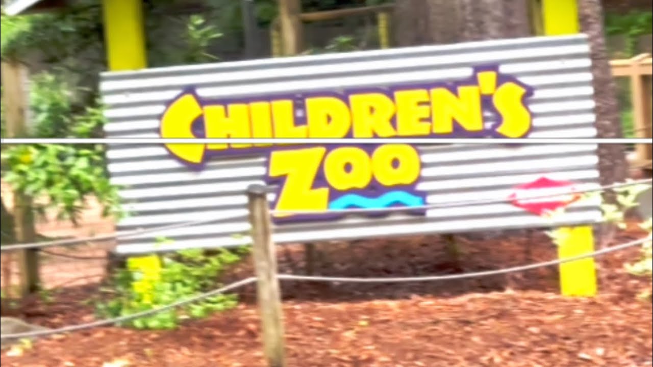 Zoo Atlanta Wildlife Adventure Ends at the Petting Zoo! 🐐👧🐓