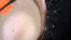ماذا ÙŠØØ¯Ø« عند وضع قطعة نيكل ملتهبة بالماء اسمع الصوت
