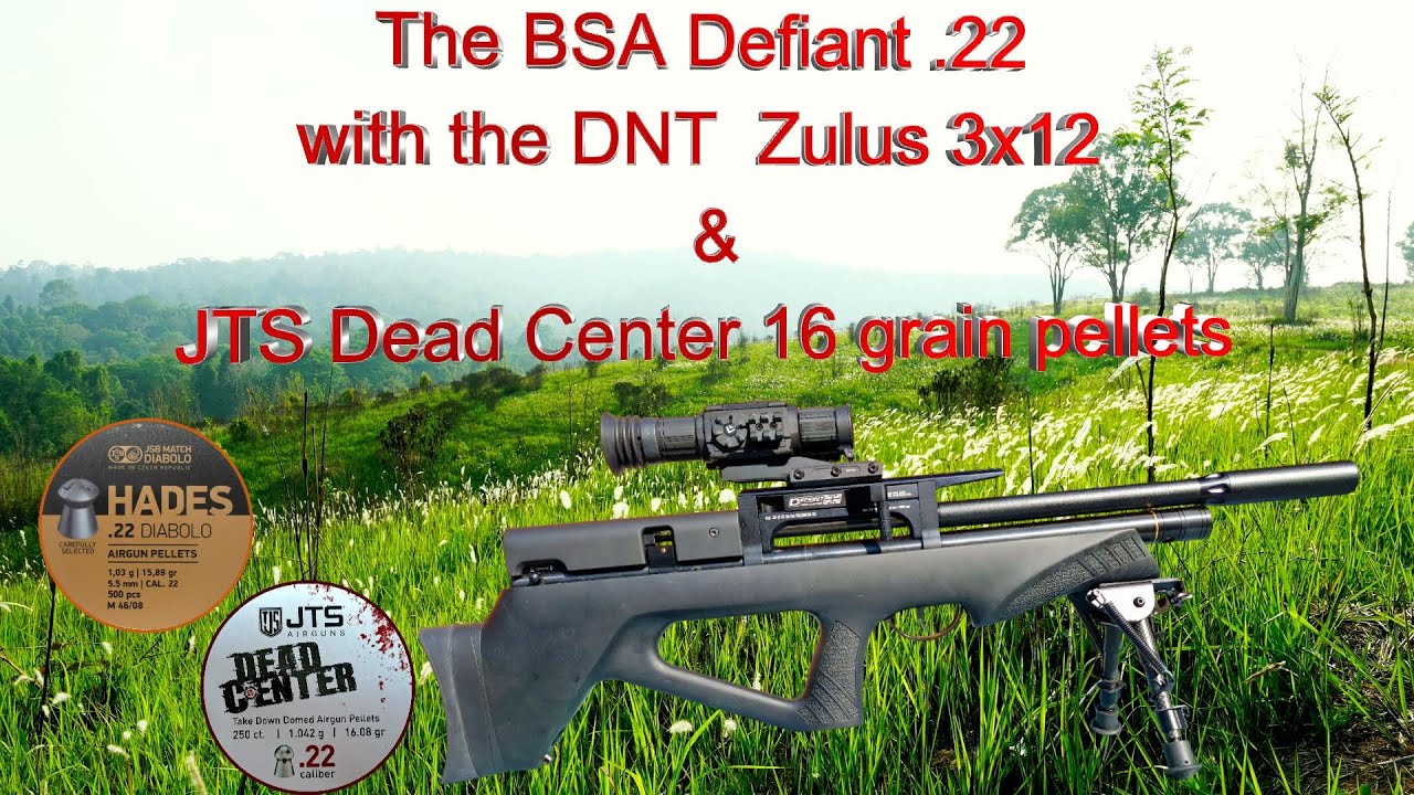 The BSA Defiant  .22 with the DNT Zulus 3x12 & JTS Dead Center 16 grain pellet.