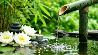 Peaceful Night Ambience 🎹 Bamboo Water Fountain | Soft Fountain Ambience and Light Piano Therapy screenshot 4