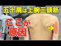 【五十肩を自分で治す】原因は上腕三頭筋だった