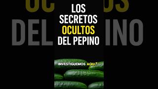6 Beneficios Ocultos del Pepino Que Nadie Te Cuenta 🥒