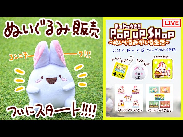 通販14日12時開始！ドコドコうさぎぬいぐるみ【グッズ紹介】POPUPSHOP