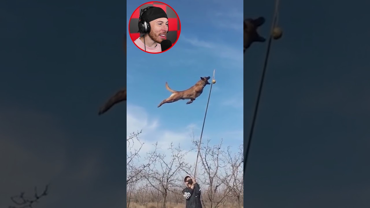 MIND BLOWING Videos #Shorts
