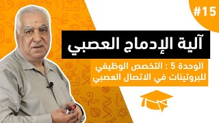 #15 التخصص الوظيفي للبروتينات في الاتصال العصبي : آلية الادماج العصبي