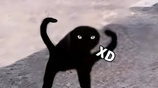 Videos random #3 - orrusu