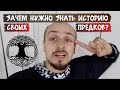 Родовая и генетическая память, родовые программы. Что это и как на нас влияет?