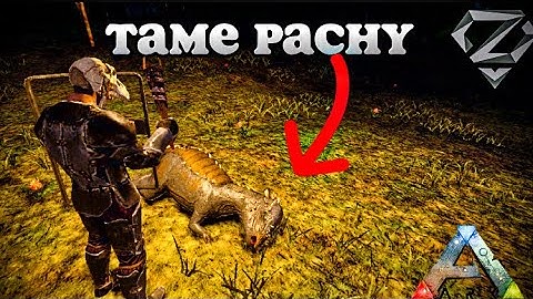 ARK MOBILE | how to tame pachy in ark mobile