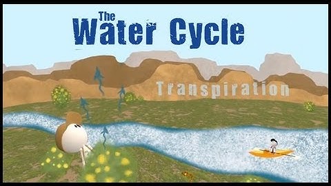 The Water Cycle - Untamed Science