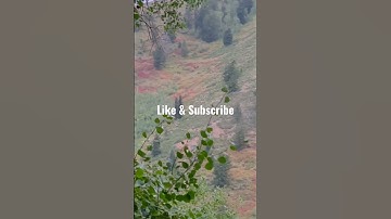 SASQUATCH sighting in UTAH? Mysterious howl #shorts #bigfoot