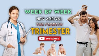 🌸 Navigating the Fourth Trimester: Your Week-by-Week Guide to Postpartum Bliss 👶🌟