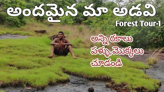 మీరు చూడని అందమైన మా అడవి||konda dora forest tour-1