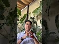 Động đất ảnh hưởng gì tới chung cư Việt Nam #shorts #batdongsan #nguyenhoanbds