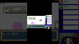Rattata Encounter. The Rat Joins The Team!