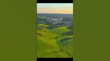 الشيخ مشاري العفاسي ، سورة الإخلاص