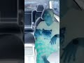 رياكشن هيا الشعيبي في السياره 