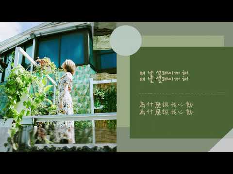 백예린(Yerin Baek) - 왜 날?(Why Me? 為何我?) 韓中字