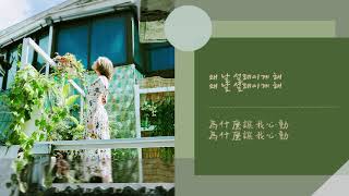 백예린(Yerin Baek) - 왜 날?(Why Me? 為何我?) 韓中字
