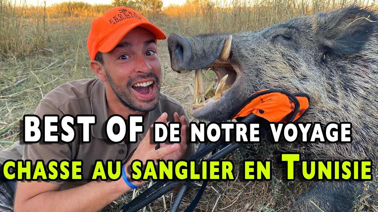 best-of-de-notre-voyage-en-tunisie-youtube