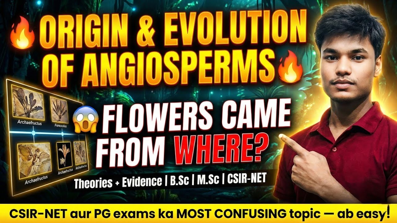 Angiosperms: Origin, Evolution & Diversification | Most Important for ...