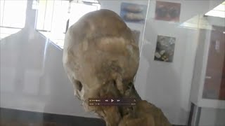 Amazing Ancient Paracas Mummies In The Highlands Of Peru