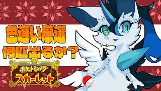 【＃ポケモンSV】色違い証厳選！色んな子を厳選したい！たくさん捕まえるぞ～＾＾【四季ろあ/雑談】