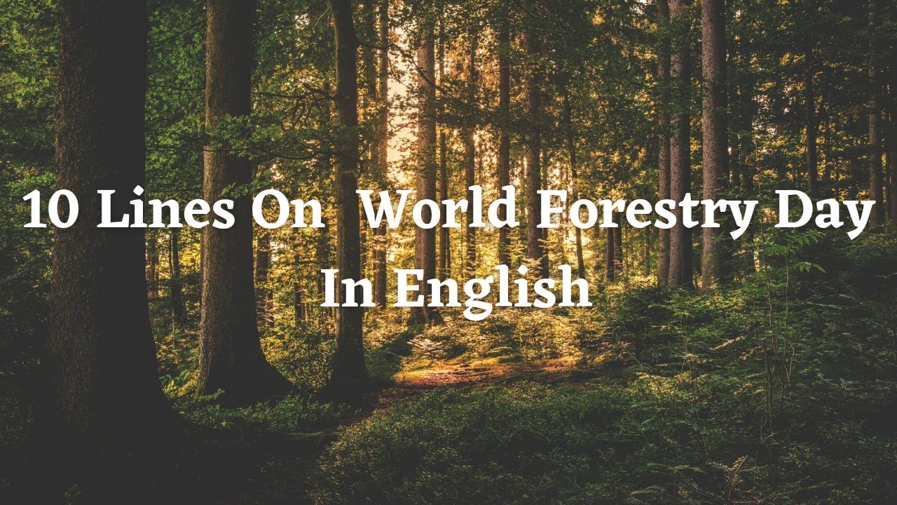 World forestry day ll 10 lines on international day of forests ll essay on world forestry day ll