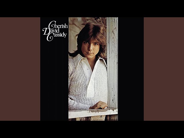 David Cassidy - We Could Never Be Friends (Cause We've Been Lovers Too Long) (7