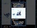 Epic Snow Hunt: Wolf Pack vs. Giant Bull Elk! 🦌🐺 #EpicHunt #WolfVsElk #SnowHunt