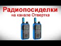 Радиопосиделки на канале Отвертка  22 10 2023  в 9-00