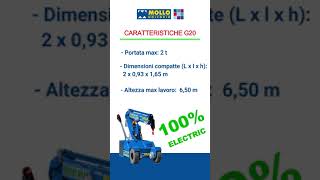MOLLO NOLEGGIO: GRU PICK AND CARRY 100% ELECTRIC