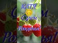 Катя, с днем рожденья! Открытка с малинкой...