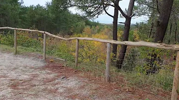 Mooi Nederland/Schoorl/Hoogste Duinen van Nederland/Vergezicht o.a. Noordzee/31 Oktober 2023