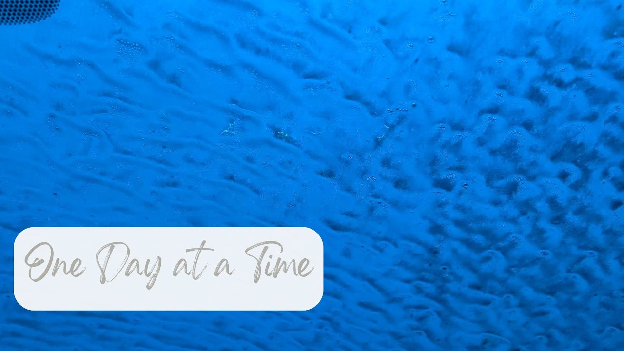 One Day at a Time - Integrity amid Chaos  #discernment