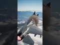 Falcon X1 Destroyed by Missile Strike”