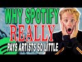 Spotify's SECRET deals with Major Record Labels...