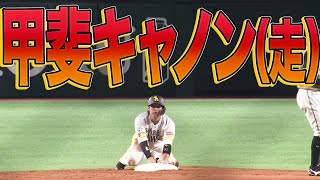 甲斐拓也『甲斐キャノン（守）甲斐キャノン（走）』