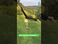 Part 2 gymnastics quiz annamcnulty tiktok challenge viralshorts shortsfeed