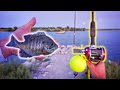 Fishing w/ BIG LIVE BLUEGILL For Jetty GIANTS!!! (Surprise Catch)