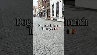 That's toast: Fancy toast in Bruges 🥖✨ Dog friendly brunches | Mozart The Spitz