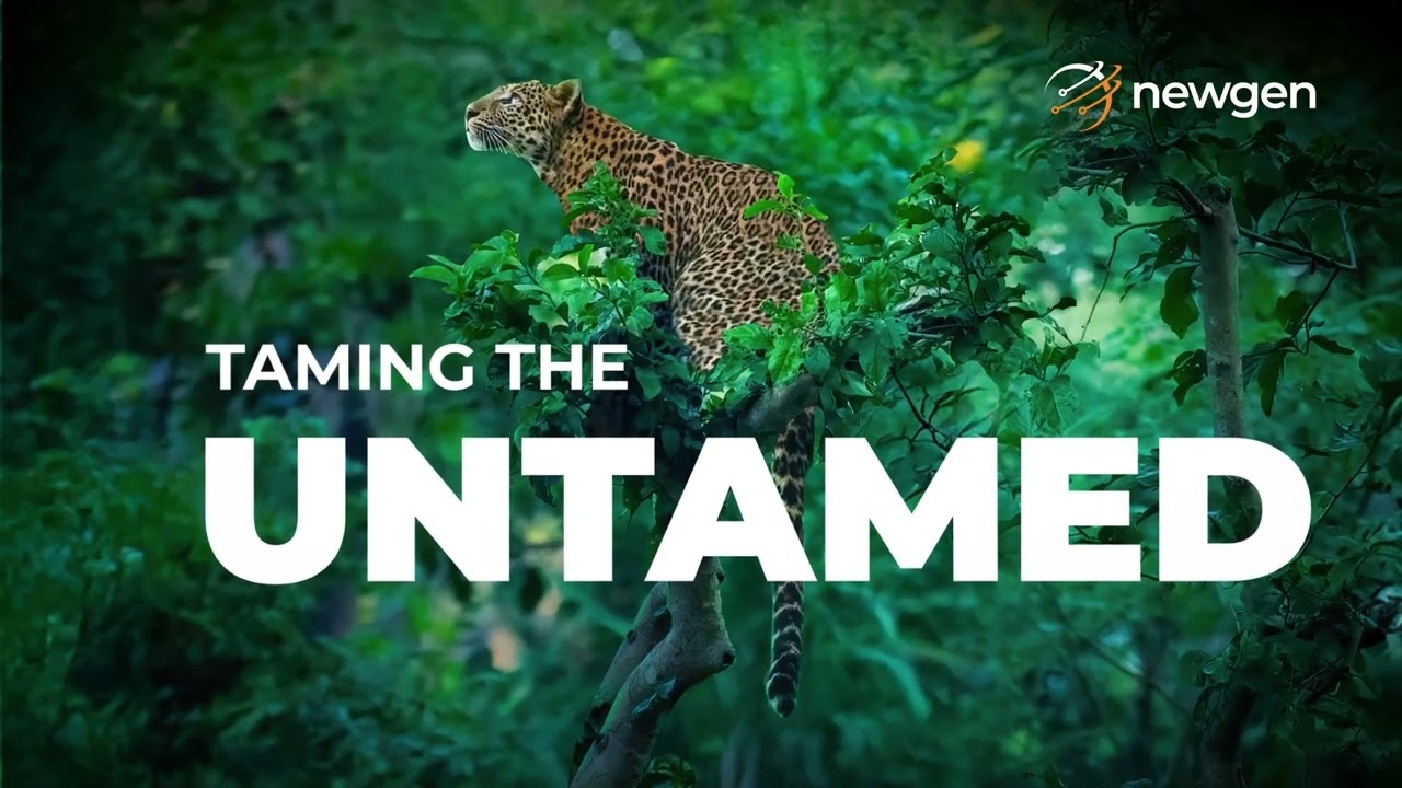 Insurance Coffee Table Book "Taming the Untamed" | Newgen Software