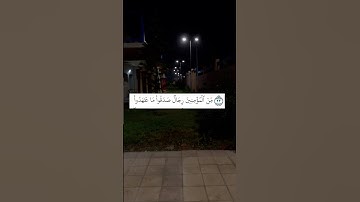 تلاوة جميلة للشيخ بدر التركي ❤️❤️       #quran #foryou #القرآن_الكريم #بدر_التركي