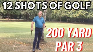 12 Shots Of Golf - 200 Yard Par 3 | On Course Lesson