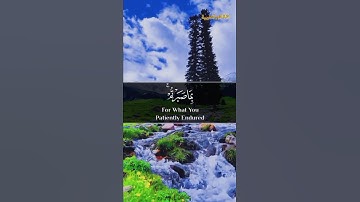 تلاوة خاشعة| ﴿ سَلَامٌ عَلَيْكُم بِمَا صَبَرْتُمْ فَنِعْمَ عُقْبَى الدَّارِ﴾ | قرآن كريم يريح القلب