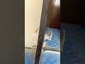 ww.furniture /palla, viral.video ♥️♥️♥️♥️
