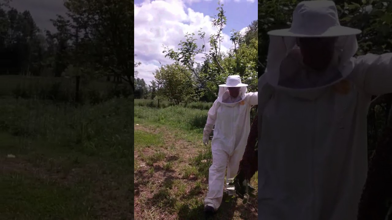 Bee swarm 2, Full Circle Farms