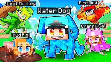 10 Friends on One Elemental Pet Block in Minecraft!