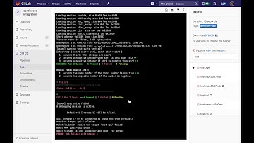 Continuous Integration of Embedded Programs and Systems