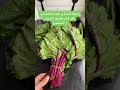 طريقة تحضير أوراق الشمندر الباربا لذيذة ومفيدة لفقر الدم How To Prepare Beetroot Leaves